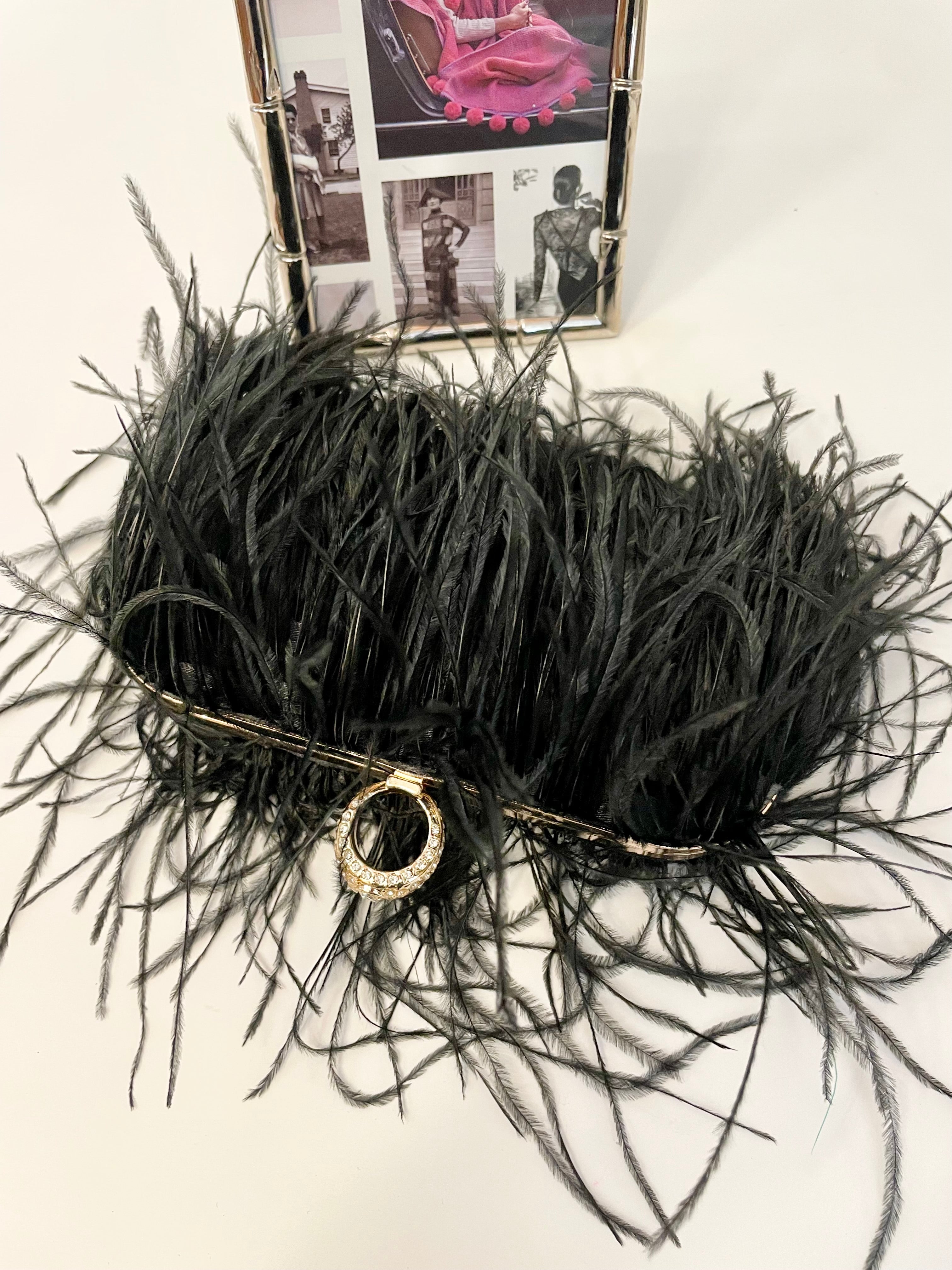 Ladies who love Martini's feather hard case bag.... so lovely