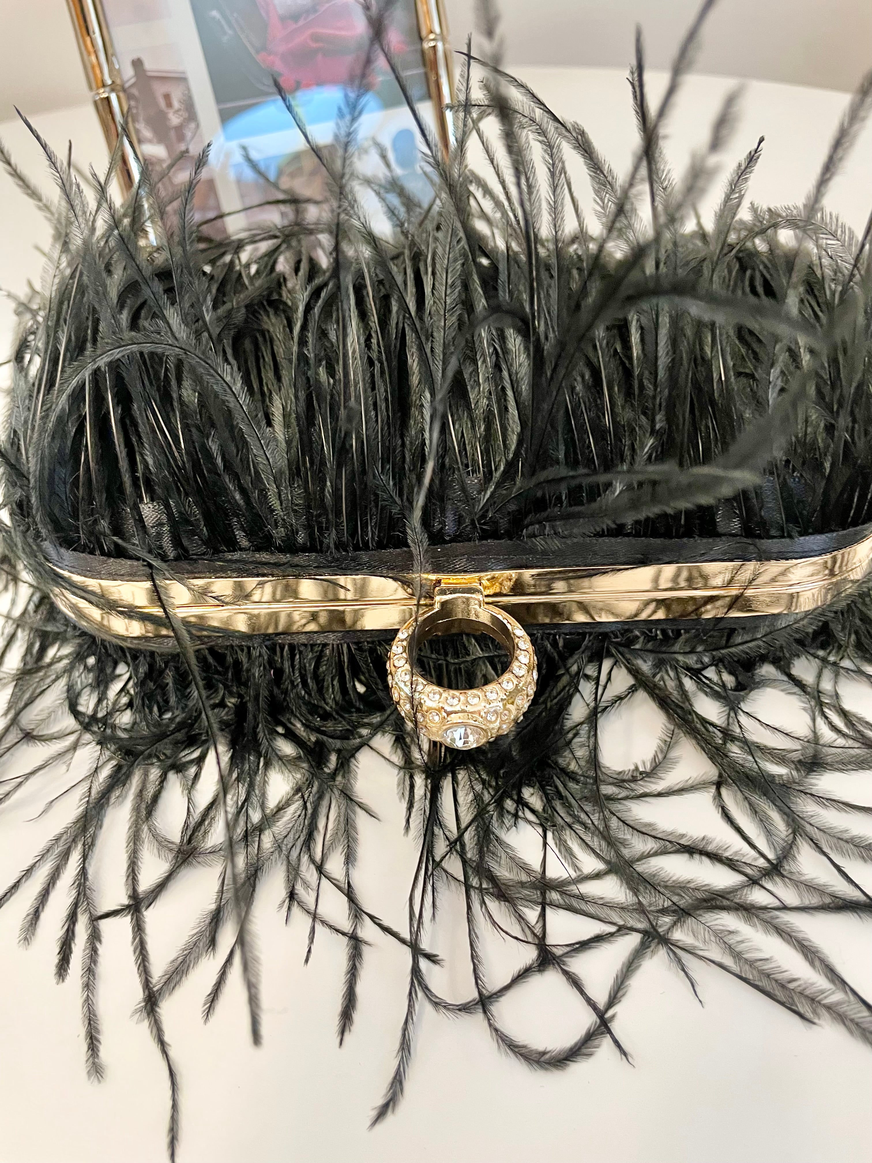 Ladies who love Martini's feather hard case bag.... so lovely