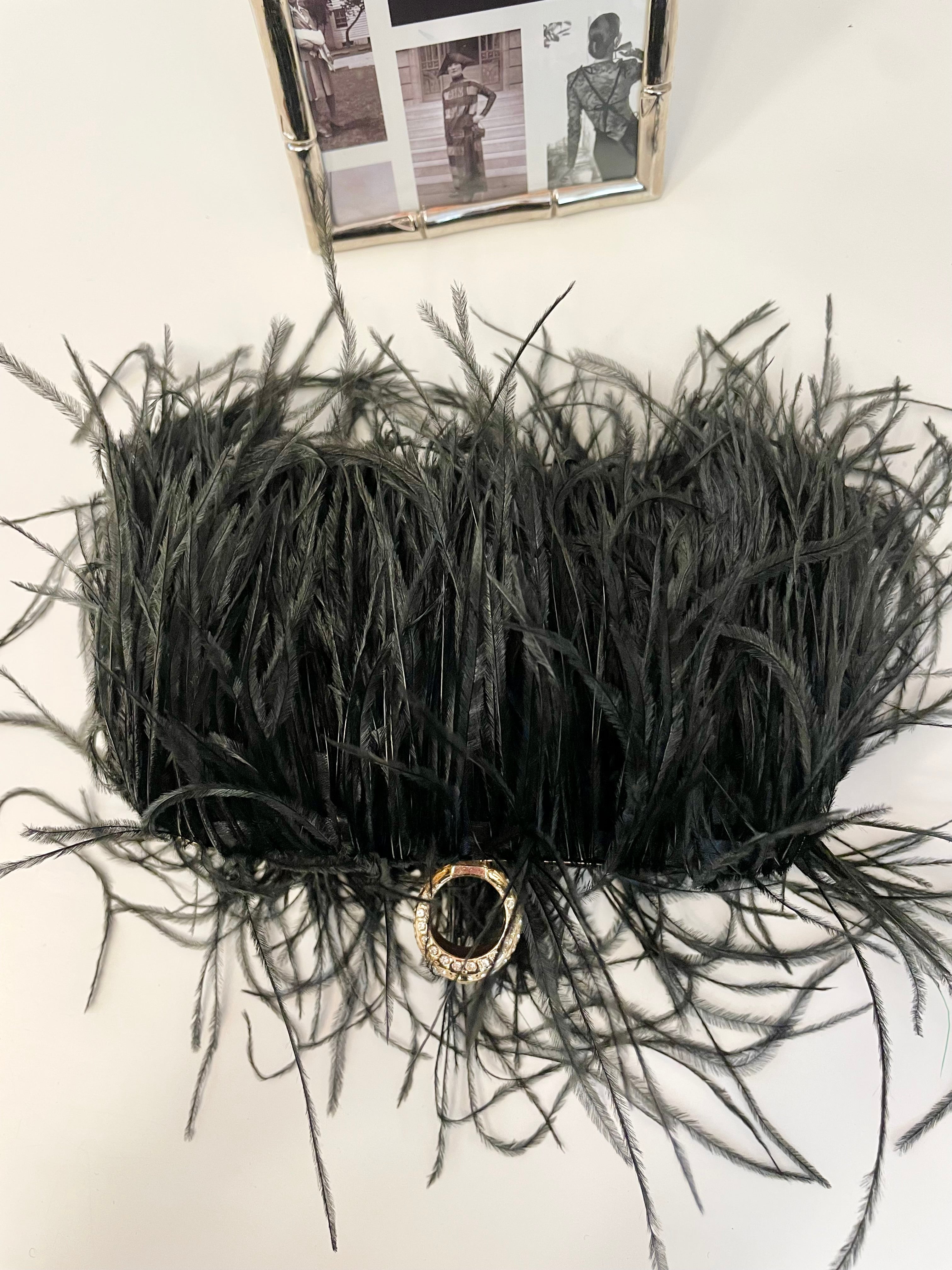 Ladies who love Martini's feather hard case bag.... so lovely