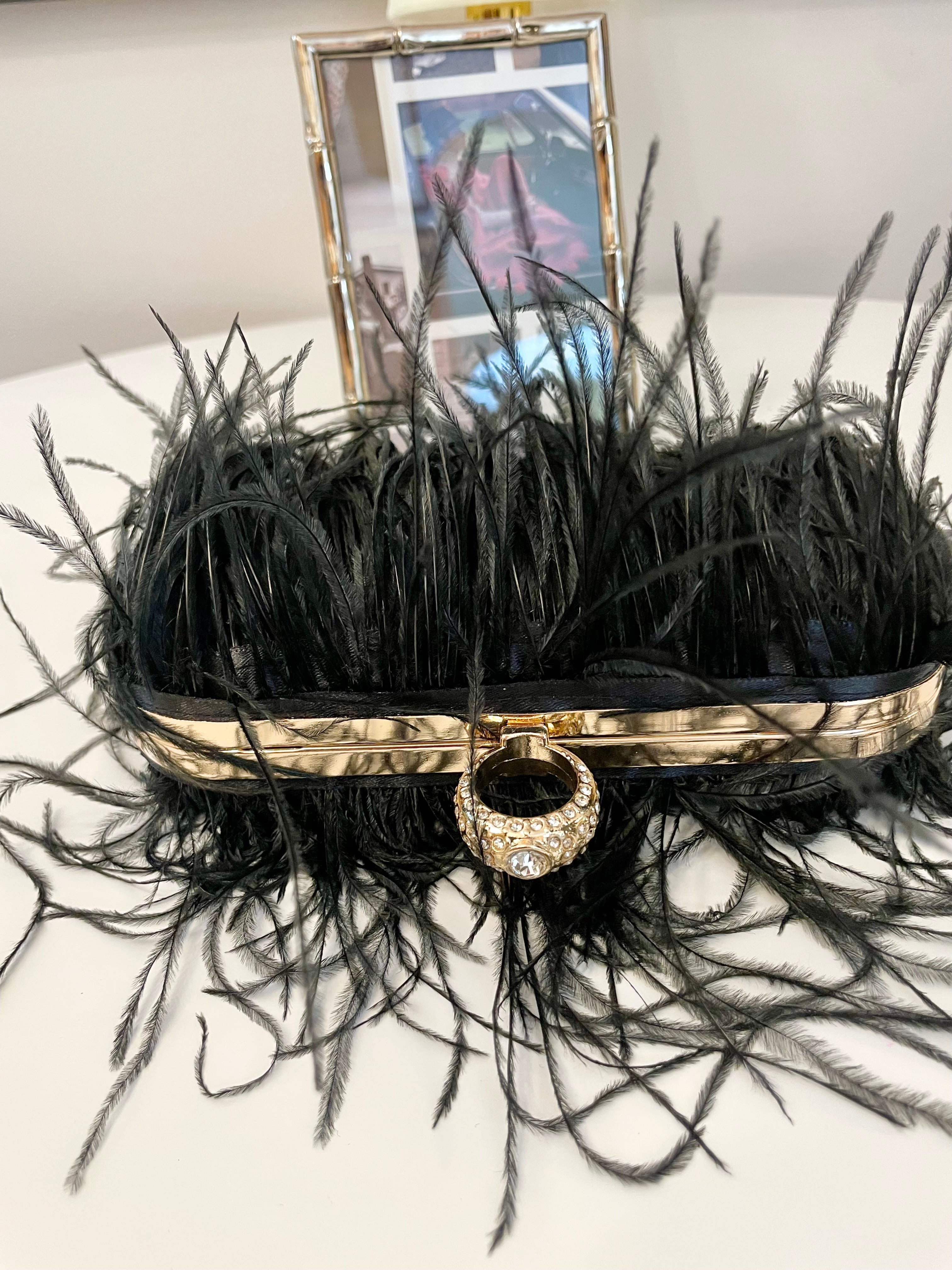 Ladies who love Martini's feather hard case bag.... so lovely
