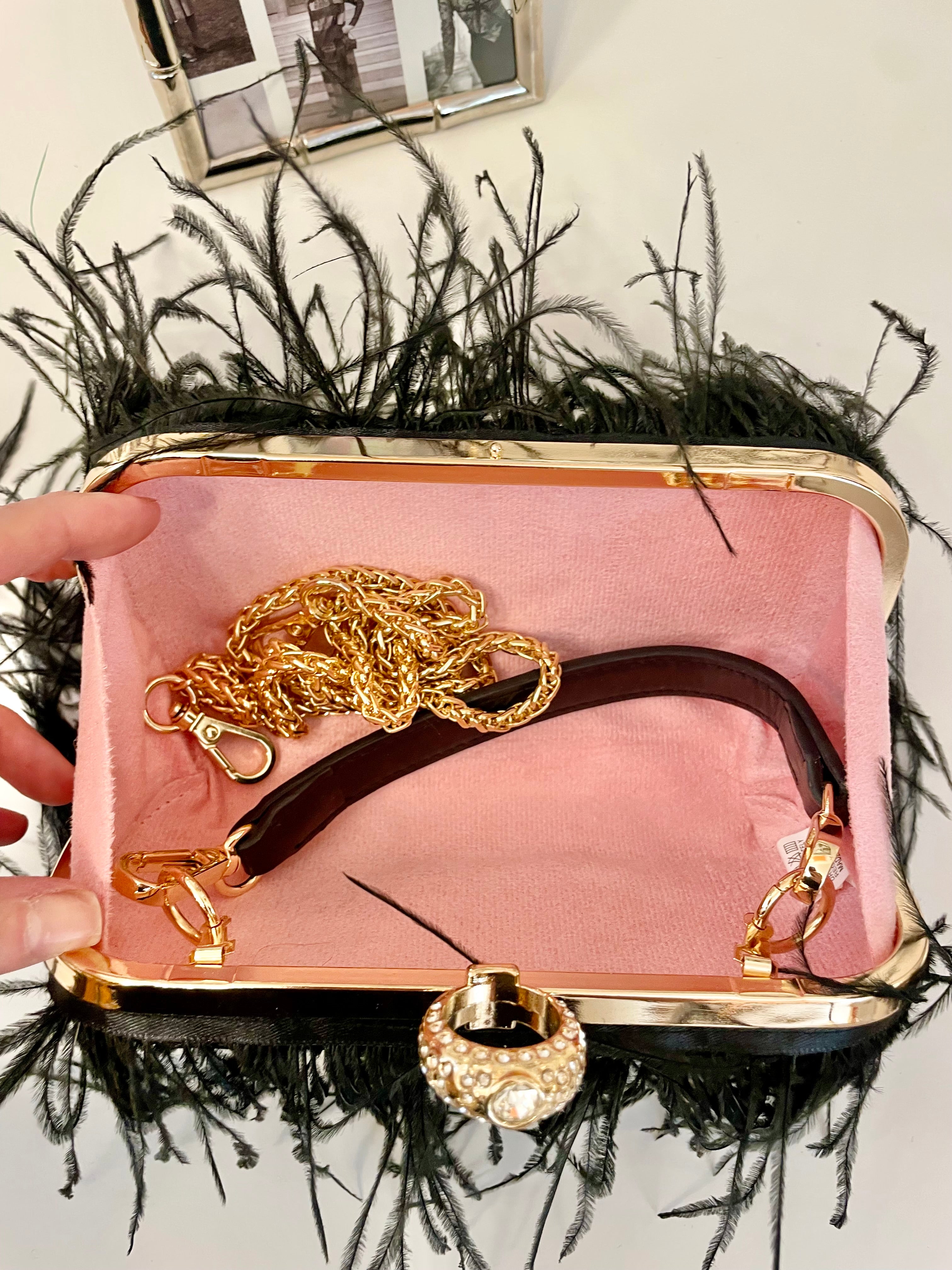 Ladies who love Martini's feather hard case bag.... so lovely