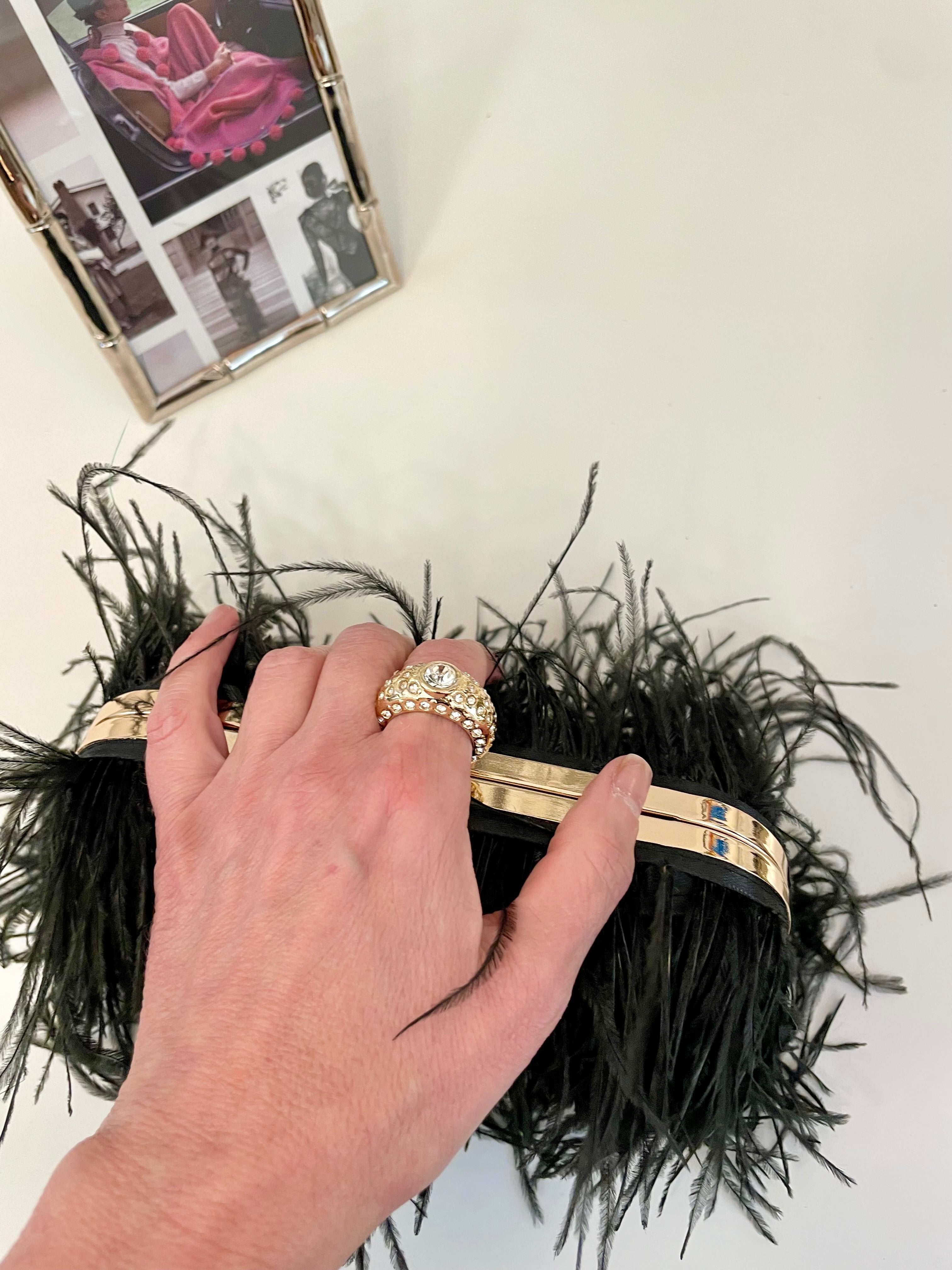 Ladies who love Martini's feather hard case bag.... so lovely