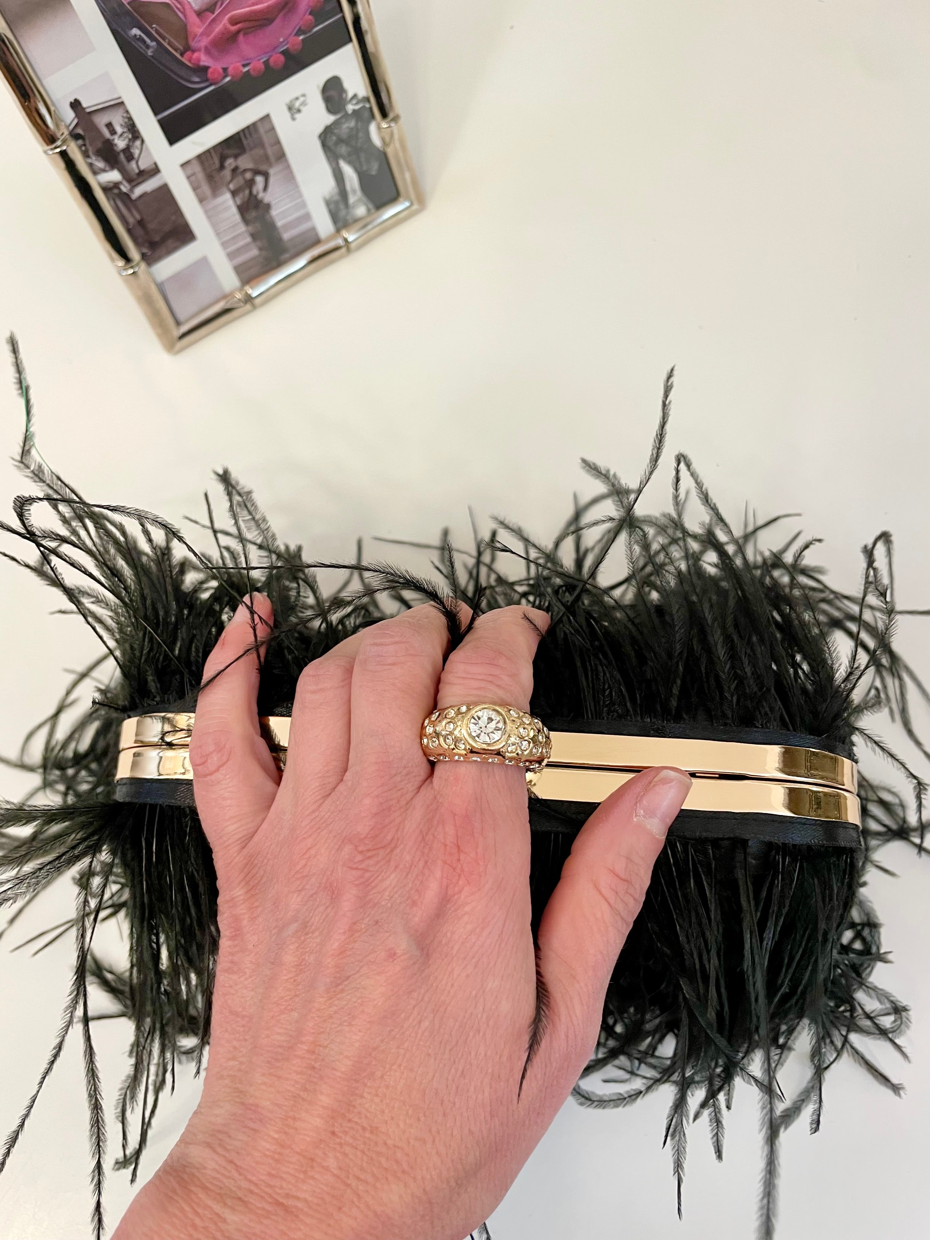 Ladies who love Martini's feather hard case bag.... so lovely