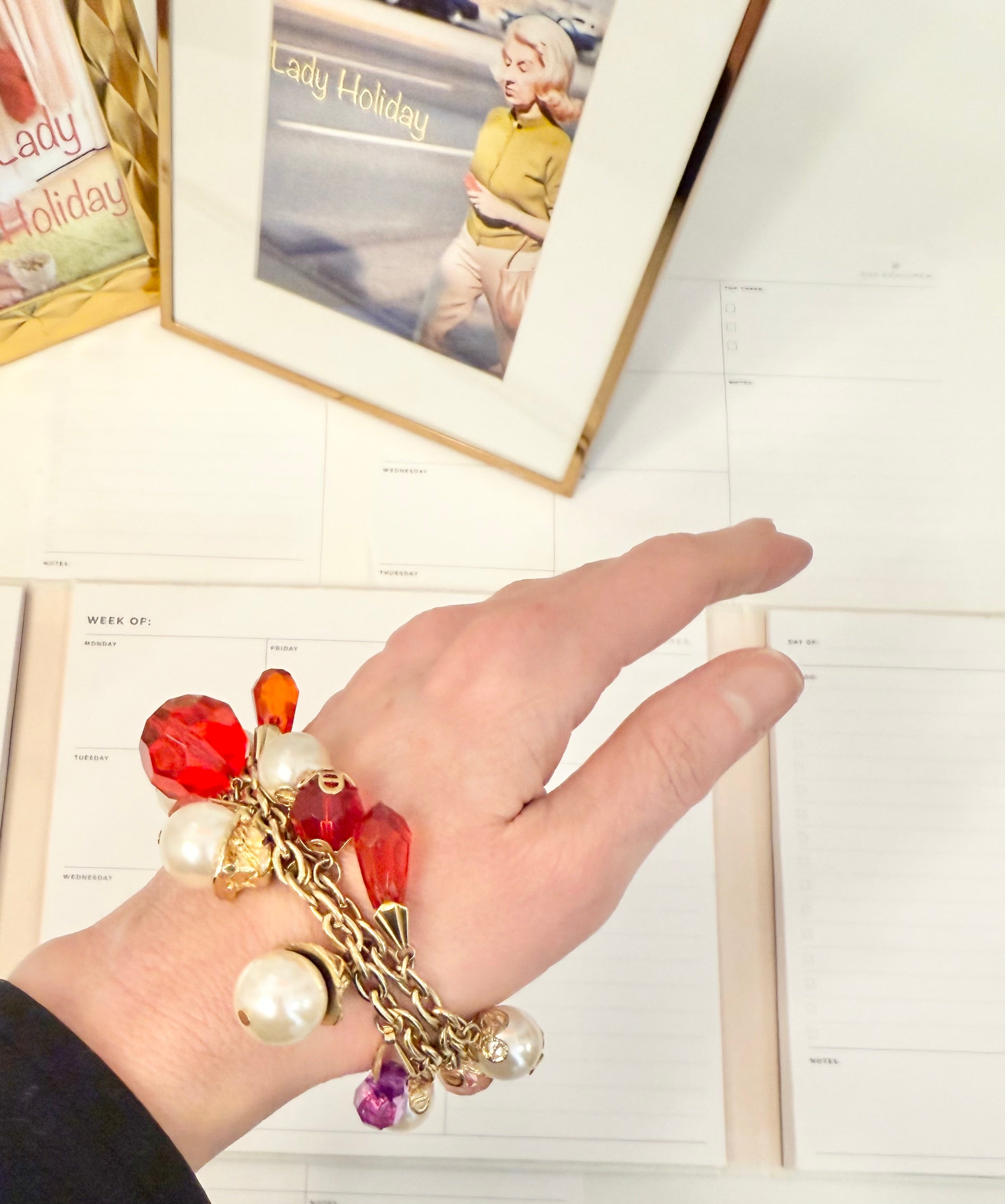 The most charming, and colorful charm bracelet...