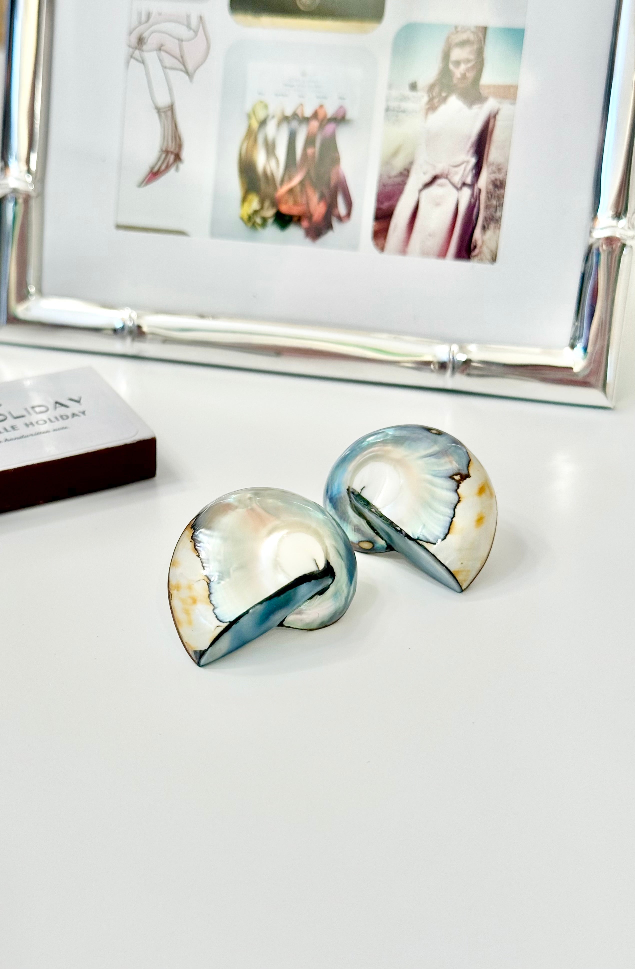 That summer... these shell earrings are perfection.